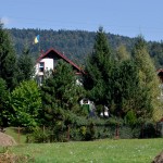 Imprejurimi 5/5